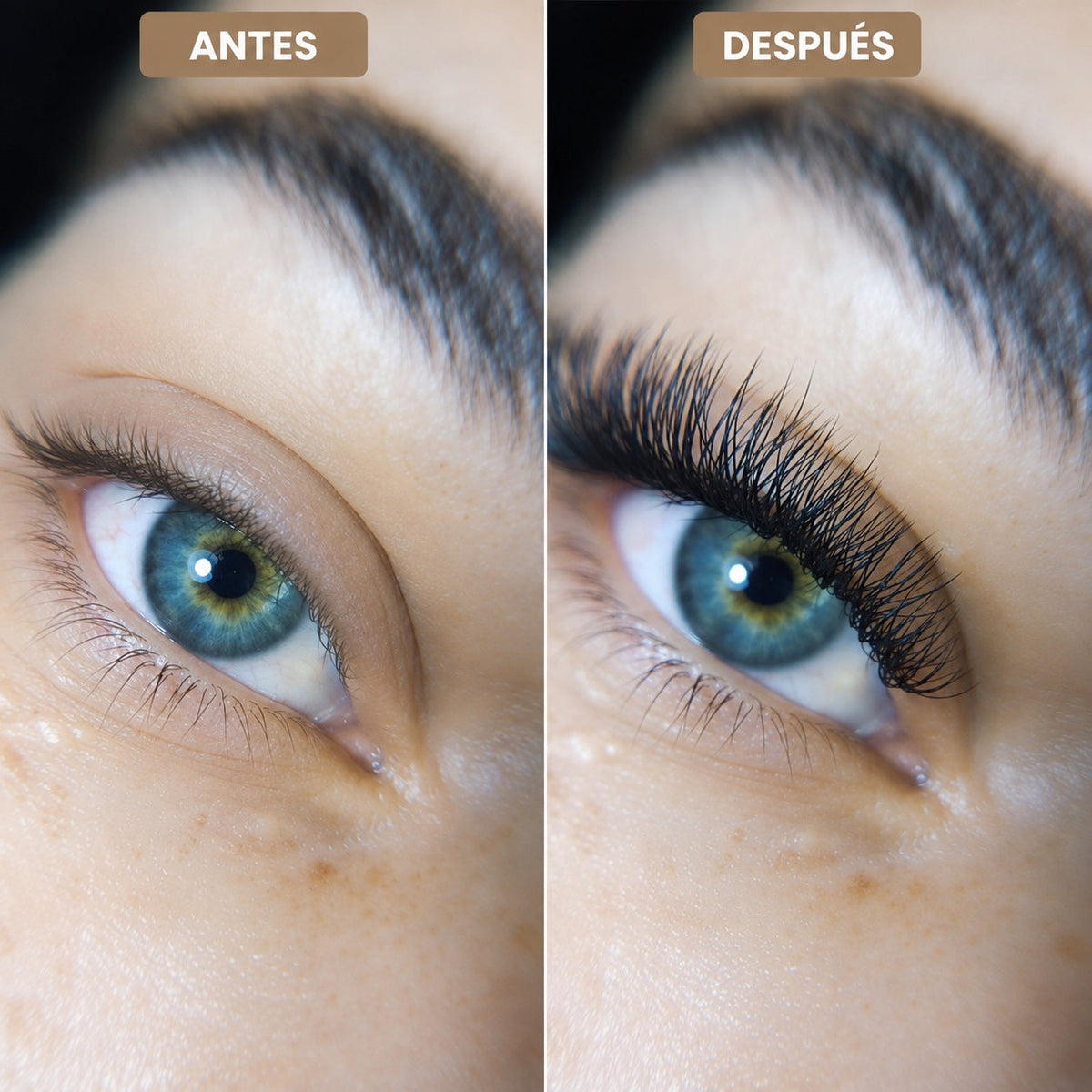 3D W Shape lashes before and after result
