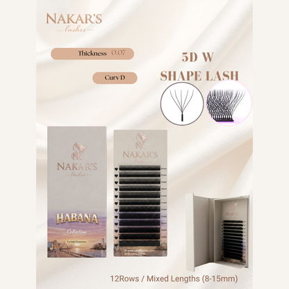 5D-W SHAPE – HABANA COLLECTION