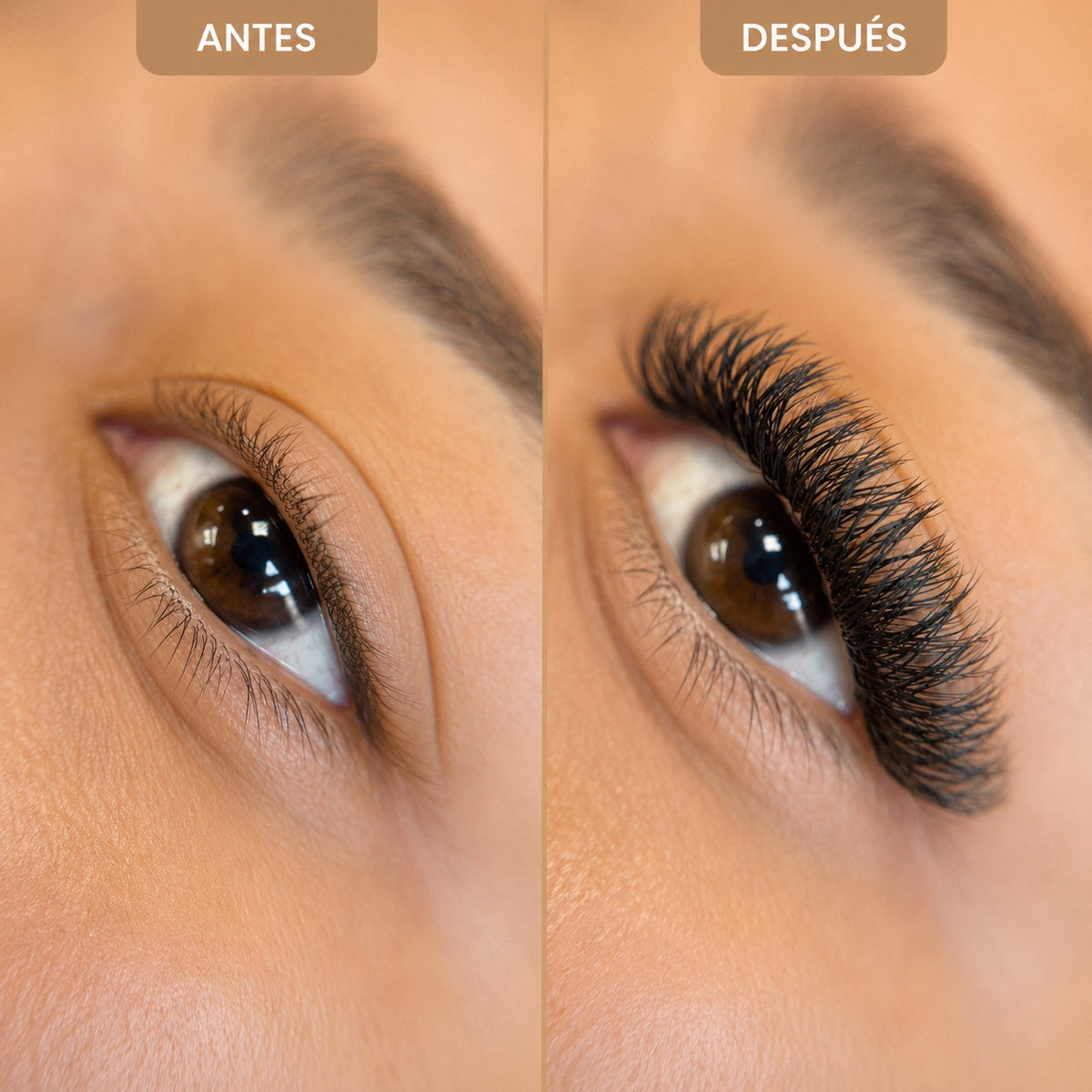 5D W Shape lashes before and after result